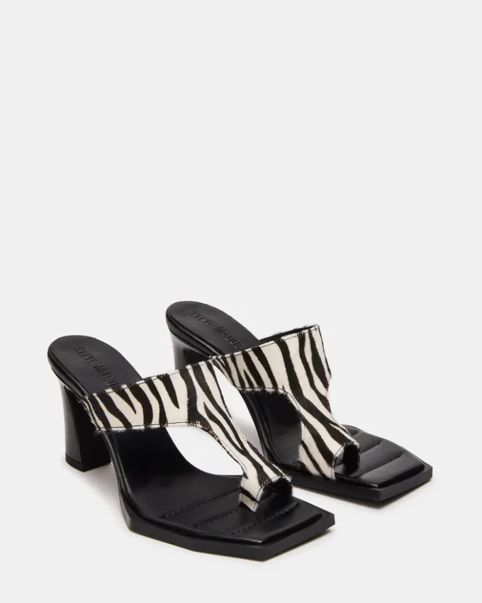 Alameda Zebra