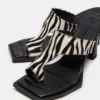 Alameda Zebra