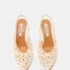 Andromeda Shell Natural