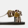 Brazinn Zebra Brazinn Zebra