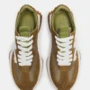Campo Olive Multi