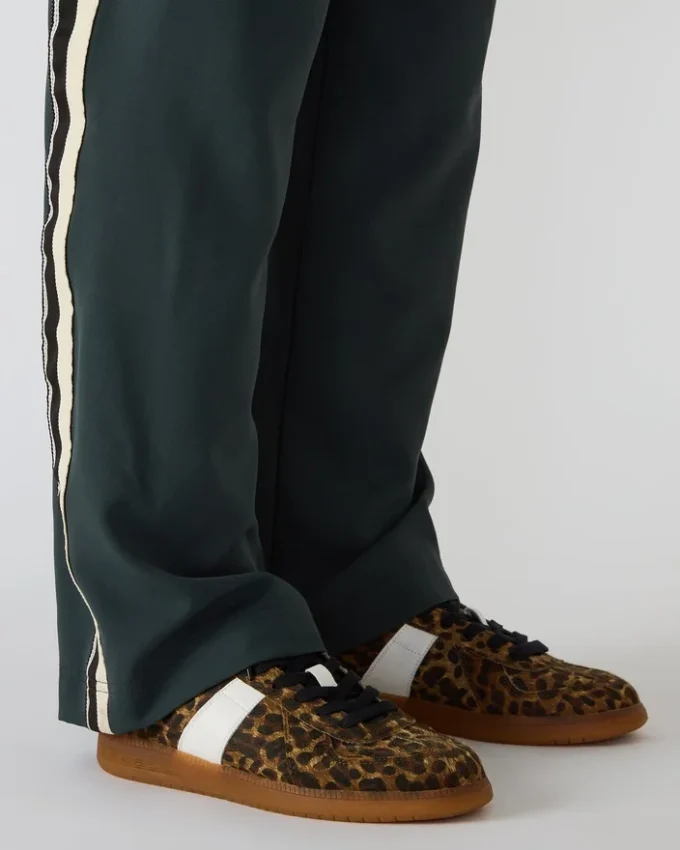 Dixon Leopard