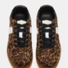 Dixon Leopard