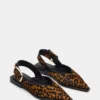 Shay Leopard