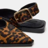 Shay Leopard