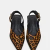 Shay Leopard