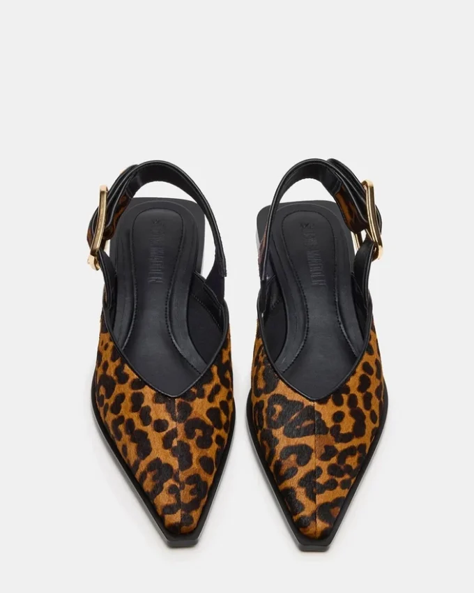 Shay Leopard