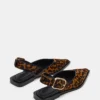 Shay Leopard