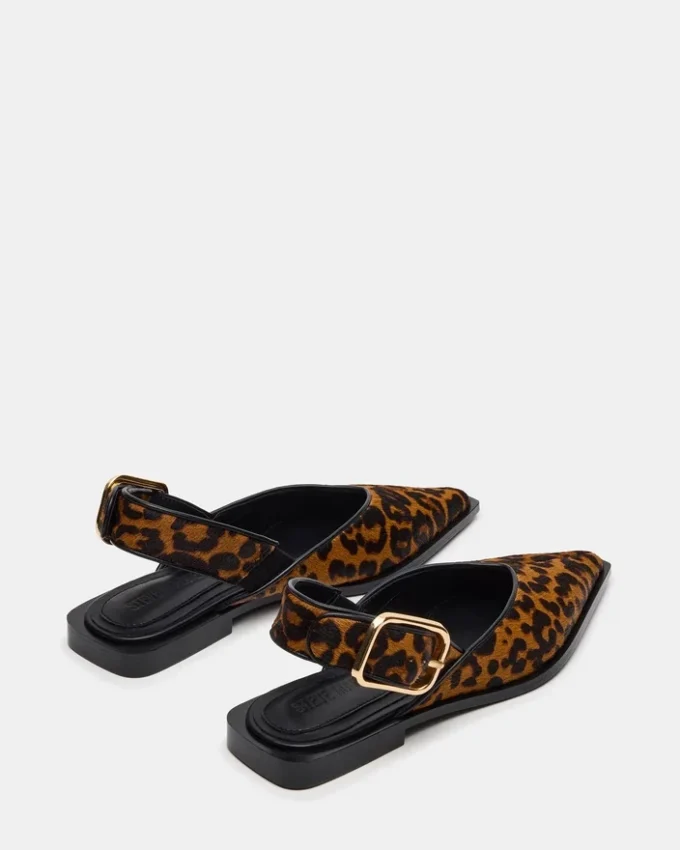 Shay Leopard